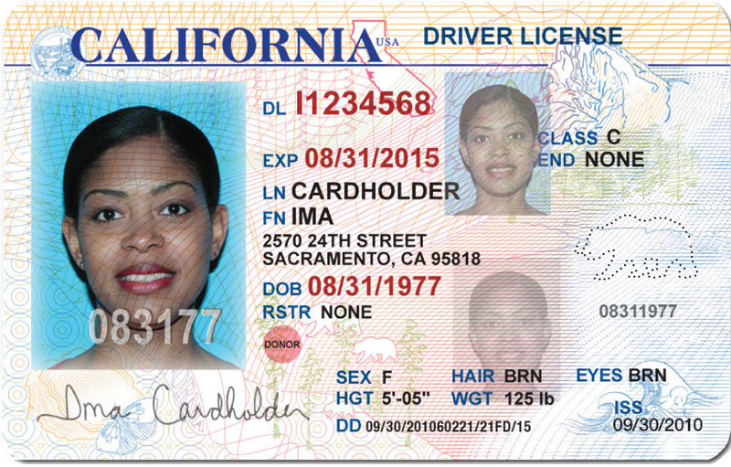 California Driver License